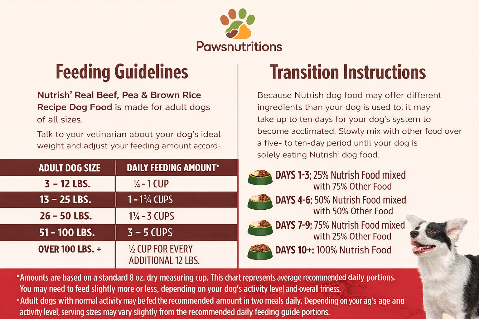 final_verdict_is_rachael_ray_nutrish_dog_food_worth_it Final Verdict: Is Rachael Ray Nutrish Dog Food Worth It?