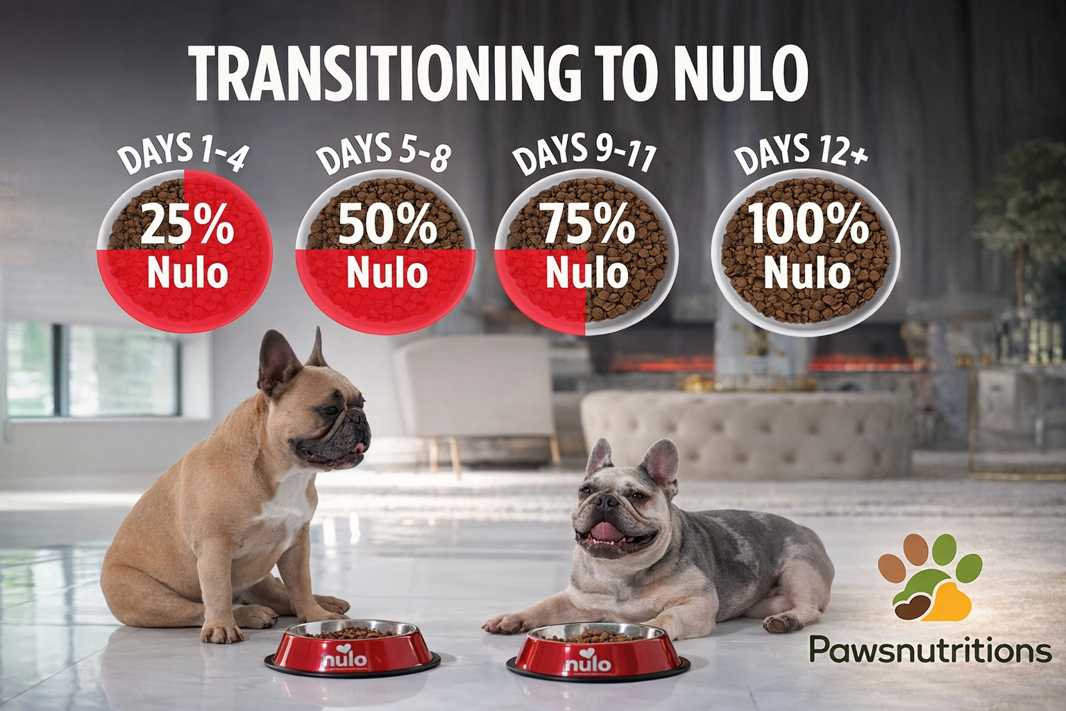 How Nulo Supports Your Dog’s Health 