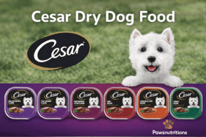 Cesar Dry Dog Food: A Comprehensive Guide to Ingredients, Nutrition, and Health Benefits