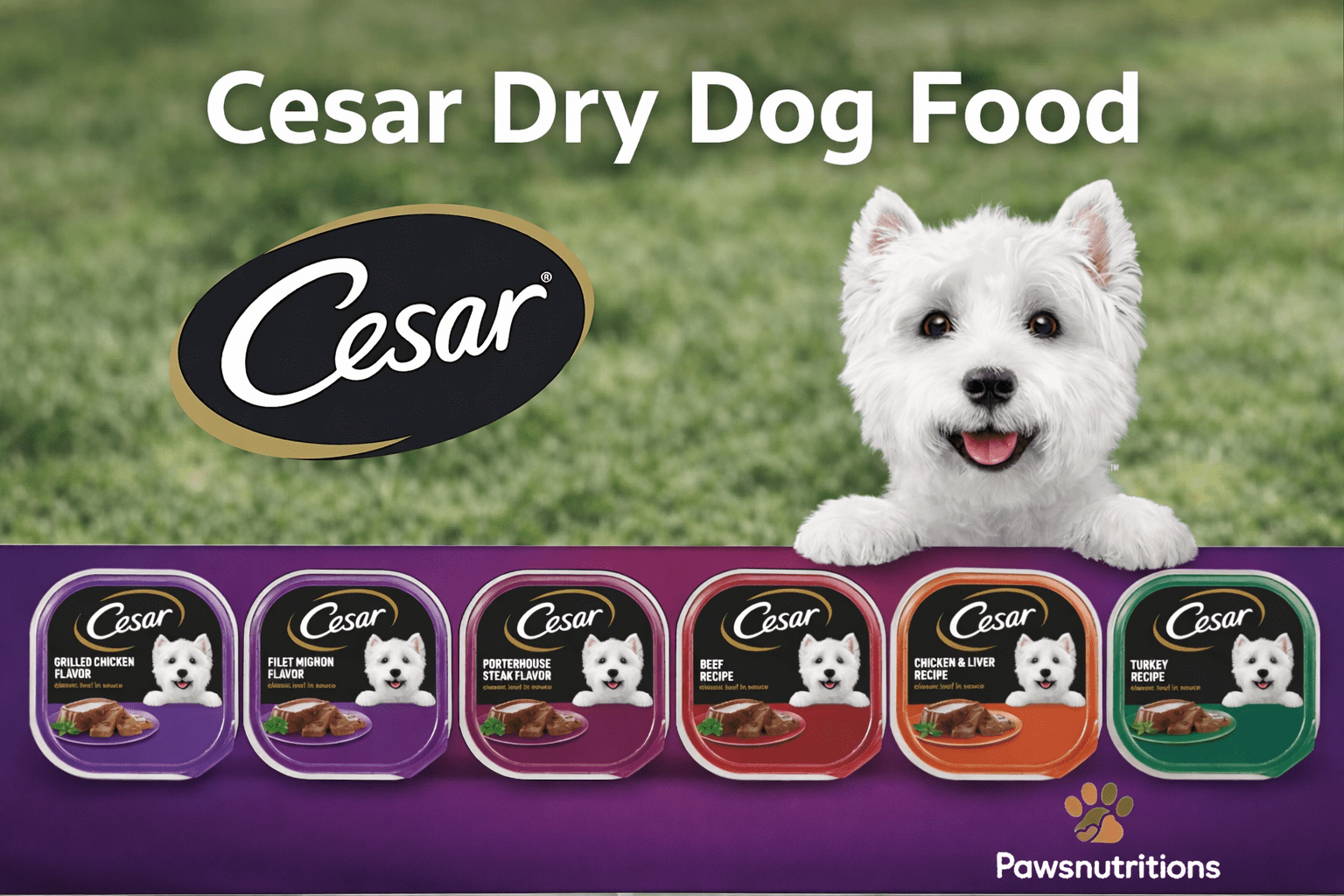Cesar Dry Dog Food: A Comprehensive Guide to Ingredients, Nutrition, and Health Benefits
