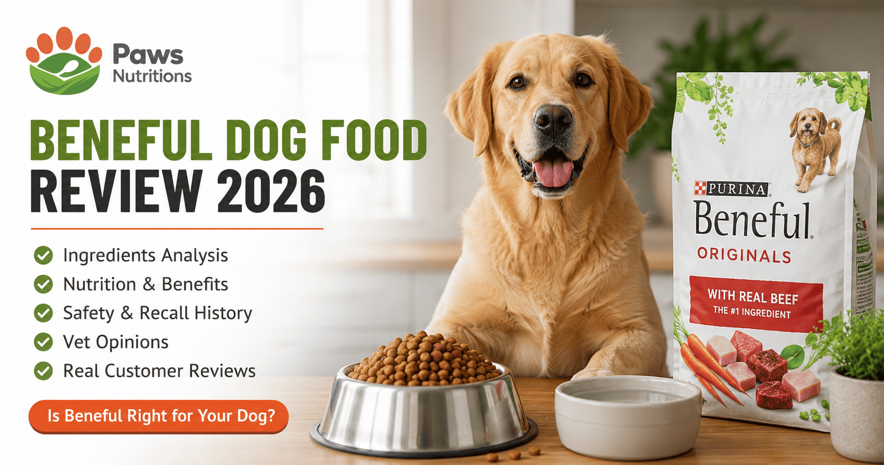 Beneful Dog Food Review 2026: Ingredients, Safety & Value