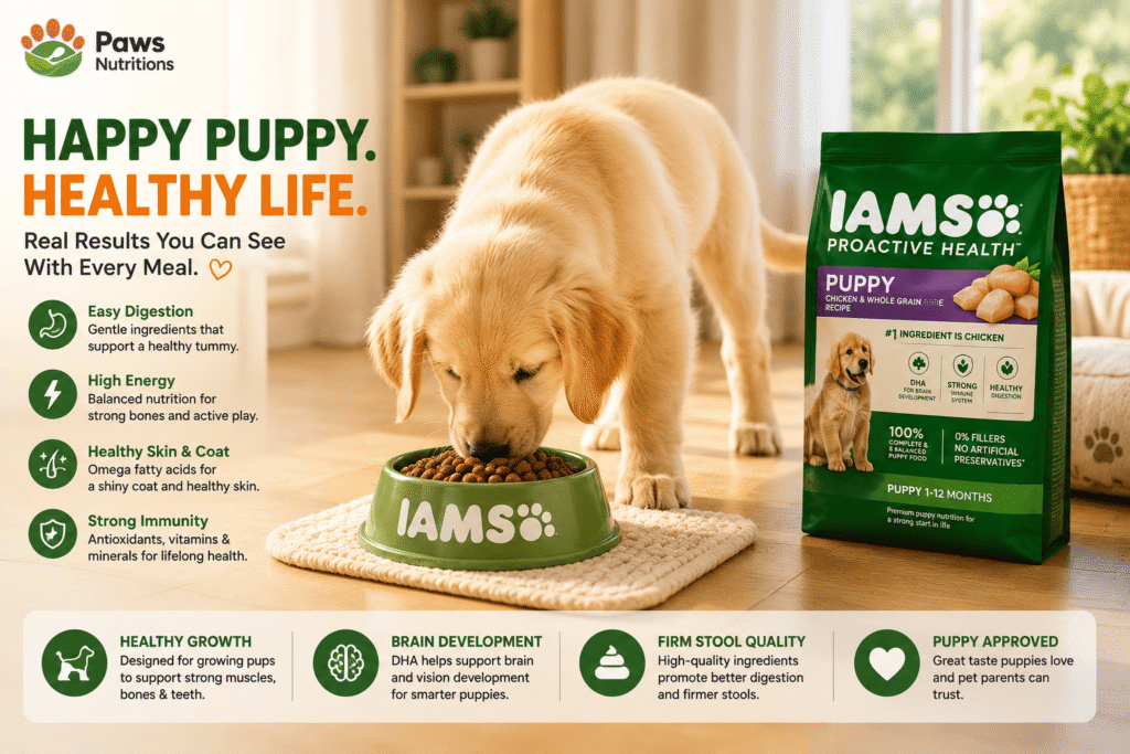 Feeding Experience & Real-World Puppy Response